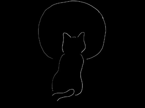 White Cat Silhouette 1st Draft.png